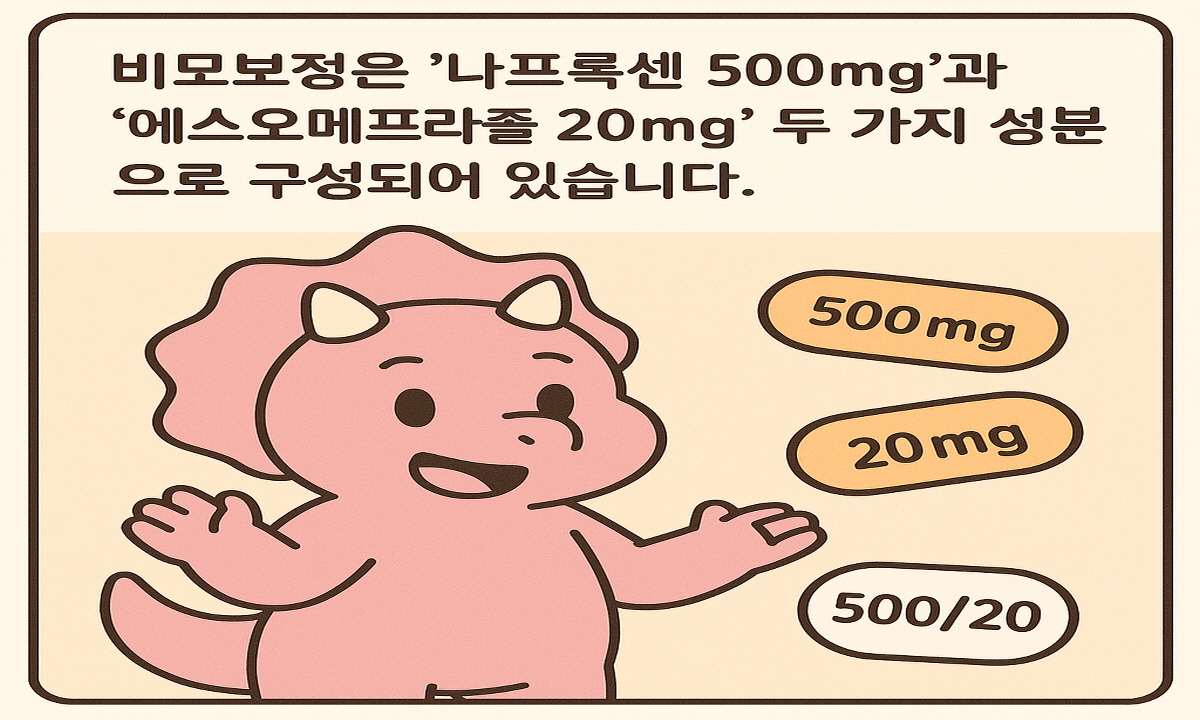 비모보정 500/20mg 관절염 통증과 위장 보호, 동시에 해결 2