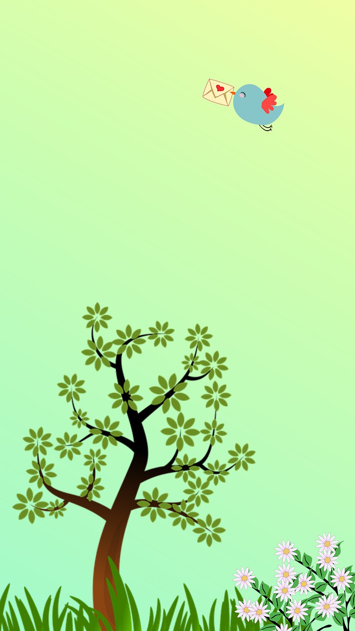 bird-7067198_1280.jpg