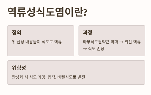 역류성식도염이란?