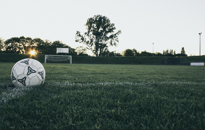 축구 경기장 축구공