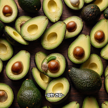 비타민b3가 많은 식품