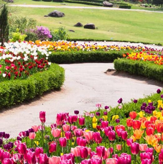 아침고요수목원 2025 봄꽃페스타