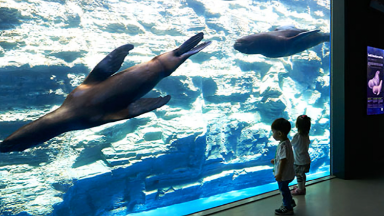 여수 아쿠아리움