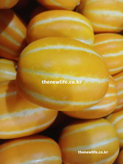 참외 효능 부작용 차가운 성질