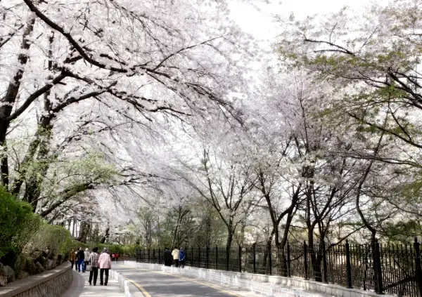 자유공원