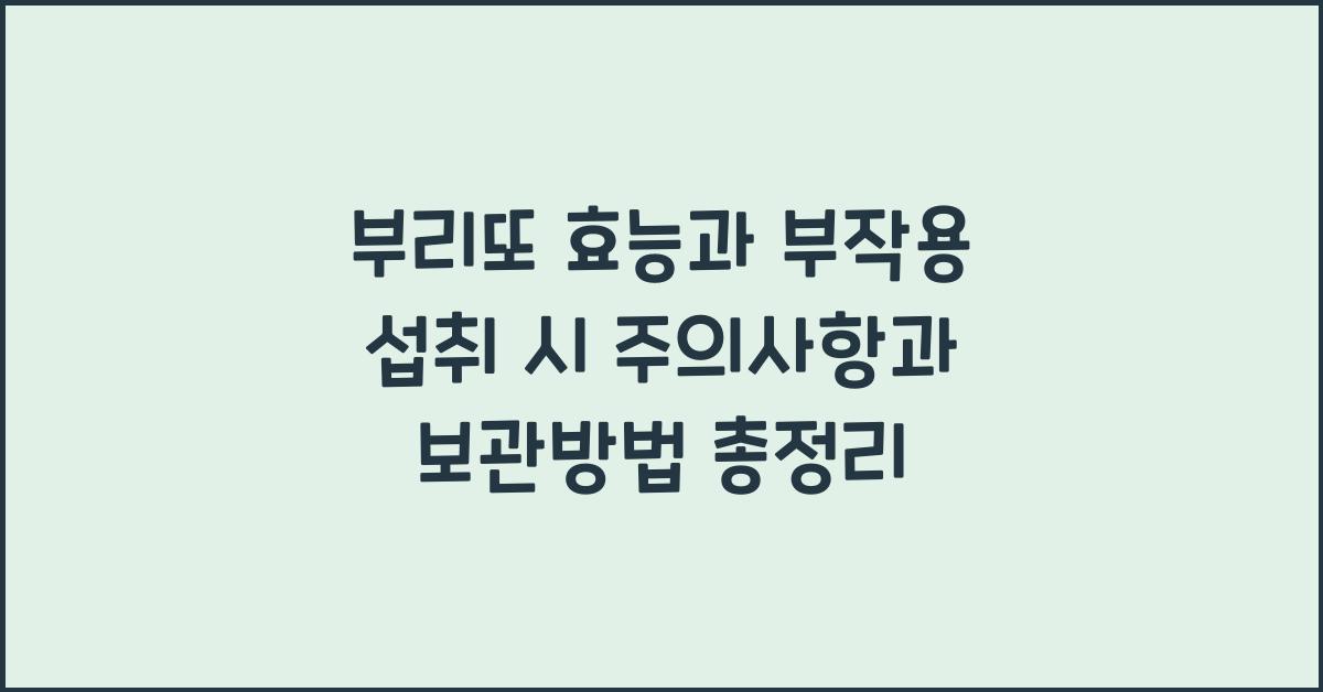 부리또 효능과 부작용 섭취 시 주의사항과 보관방법