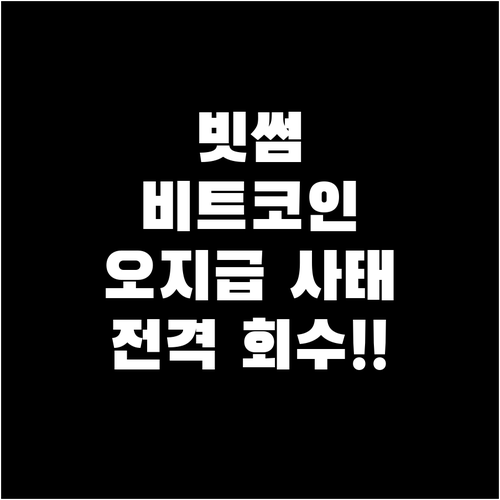 빗썸 비트코인 오지급 사건 원인과 회..