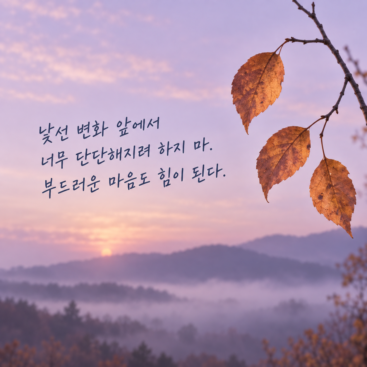 낯선 변화 앞에서 너무 단단해지려 하지 마 부드러운 마음도 힘이 된다