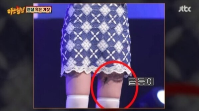 홍지윤 곱등이