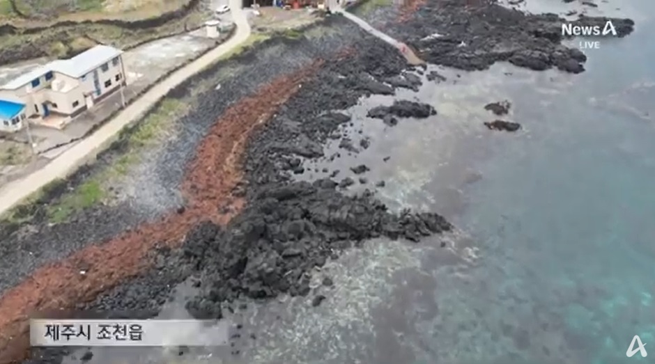 제주 해안 괭생이모자반 문제