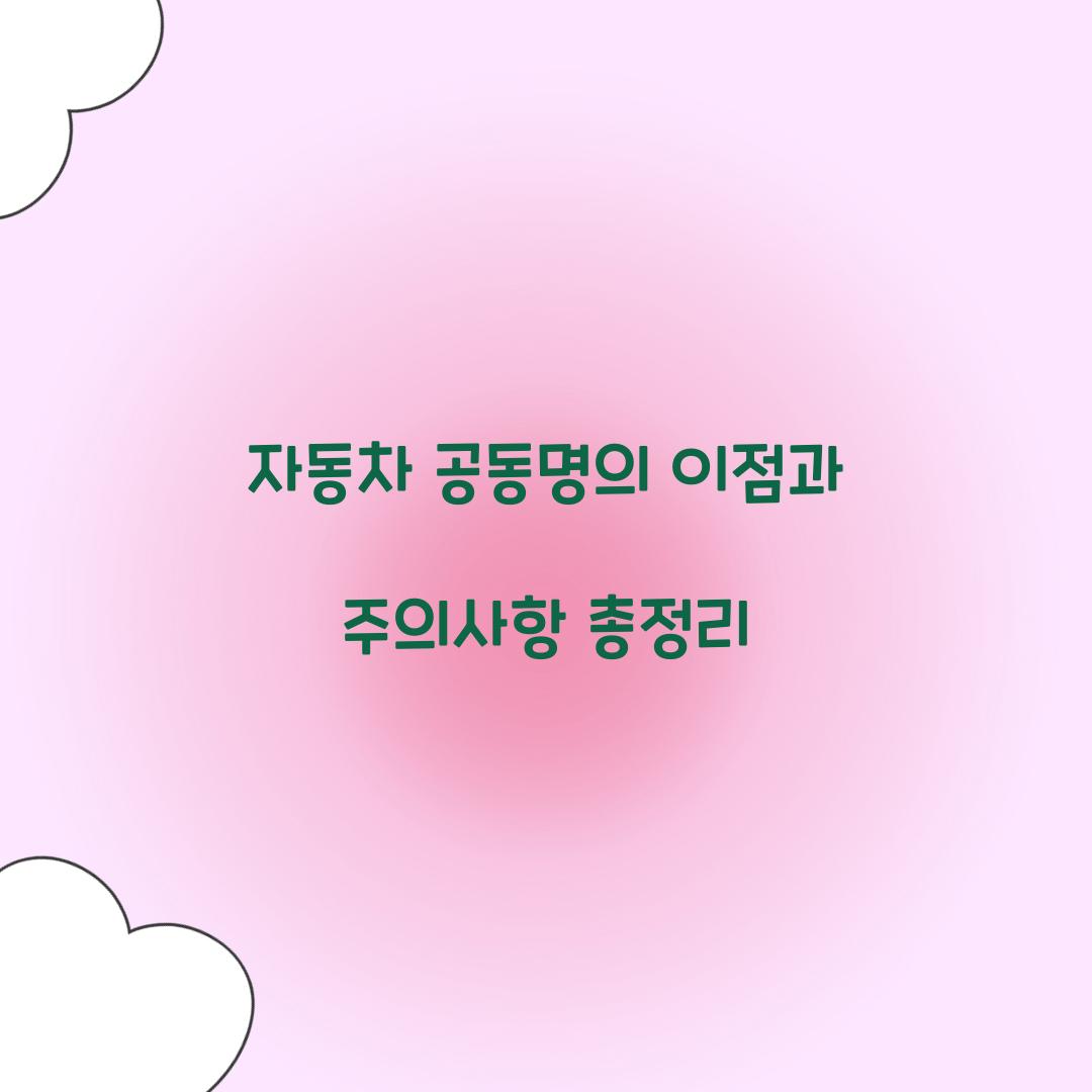 자동차 공동명의