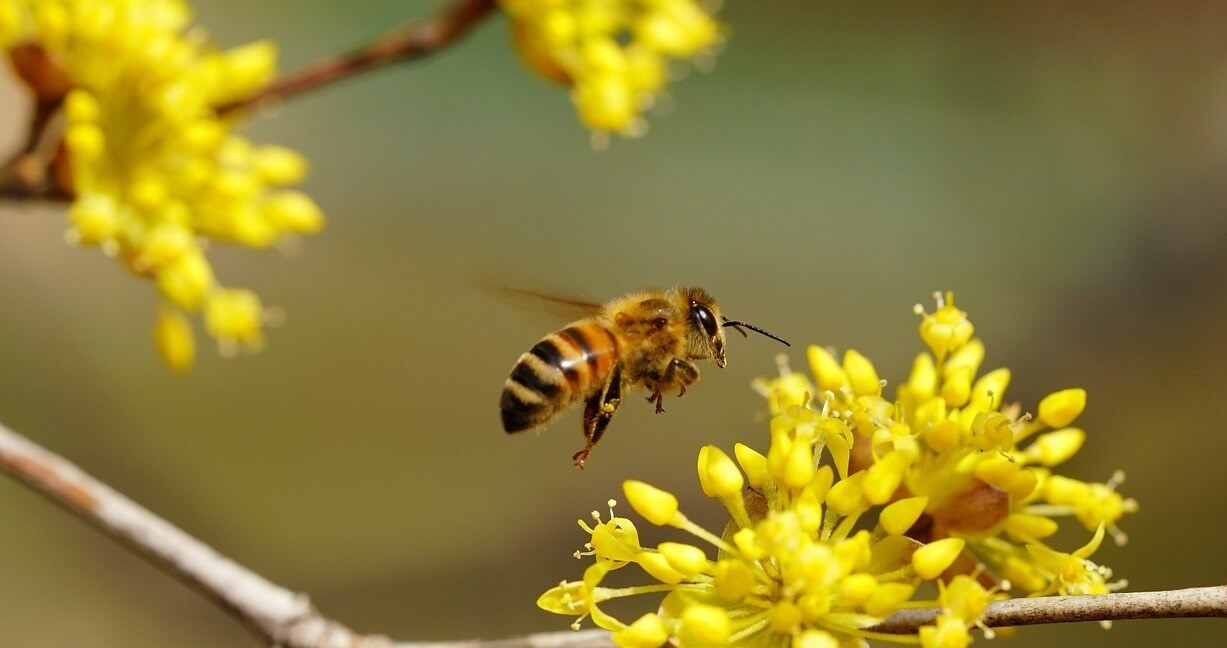 진해군항제 숙소 추천(가성비.위치.예약 꿀팁 총정리)