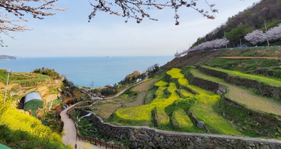 [남해 여행지 추천] 남해 가볼만한곳2. 가천 다랭이마을