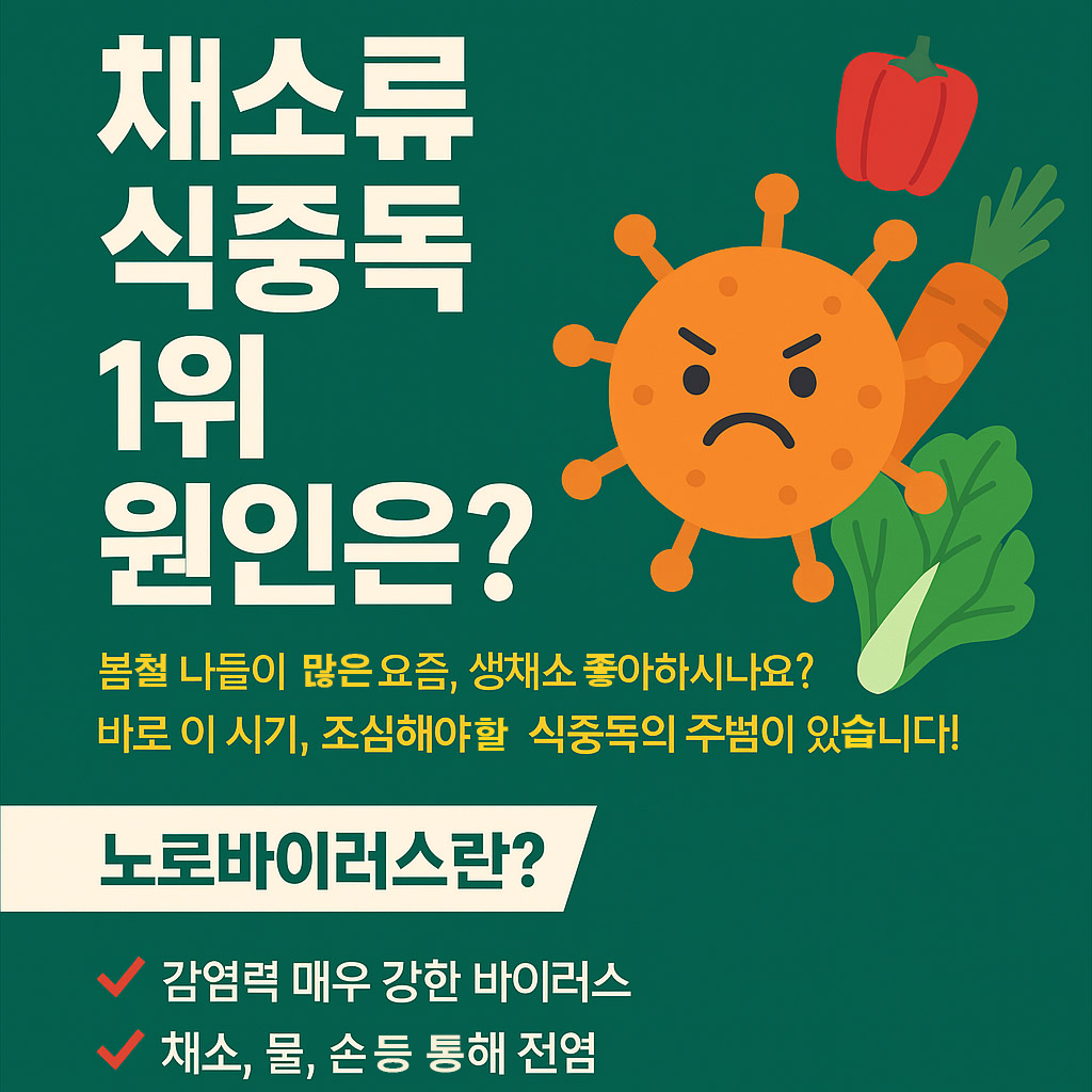 채소류 노로바이러스