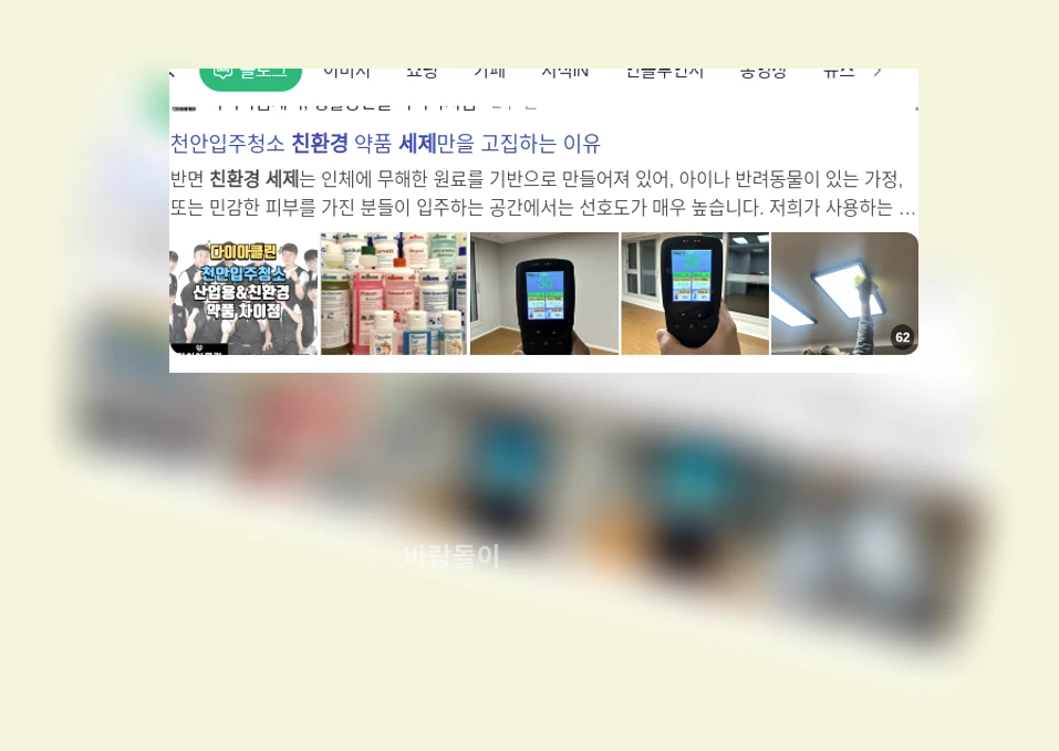 친환경 세제_1_subsection