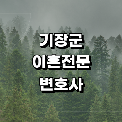 부산 기장군 이혼 변호사