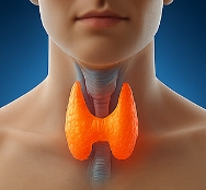 갑상선 기능 저하증