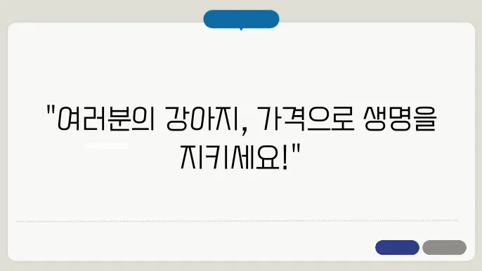 강아지 예방접종 가격