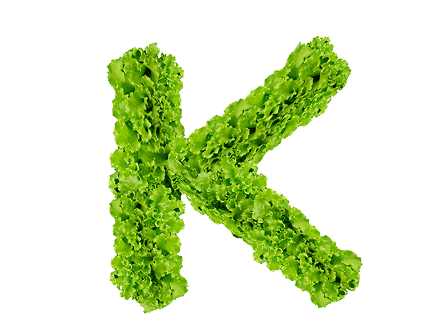 위톱 효능 가격 복용법 성분