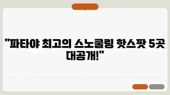 태국 파타야 스노쿨링 명소 BEST 5