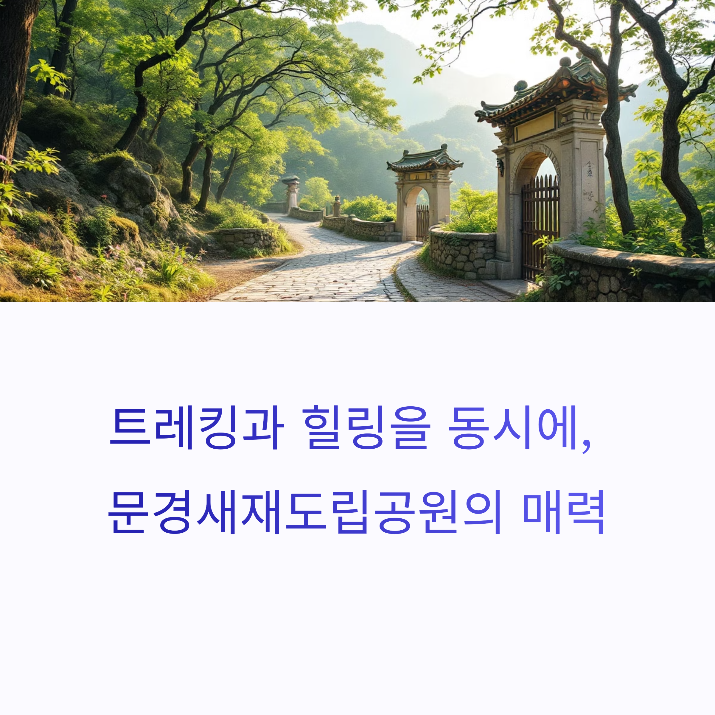 트레킹과 힐링을 동시에, 문경새재도립공원의 매력 완전 정복
