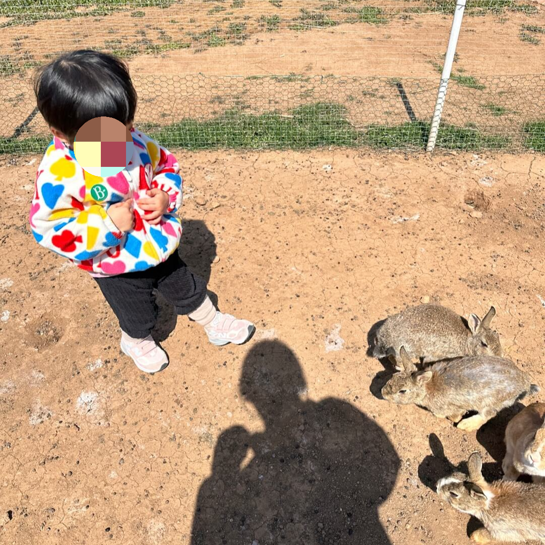 고흥 아이랑 토끼 체험 아기 토끼 가까이 관찰