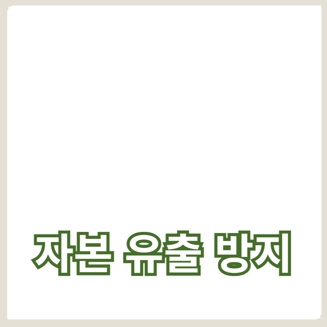 글로벌 자본 유출 방지와 경제 성장의 관계