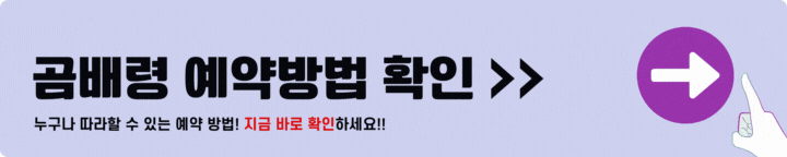 곰배령 예약방법