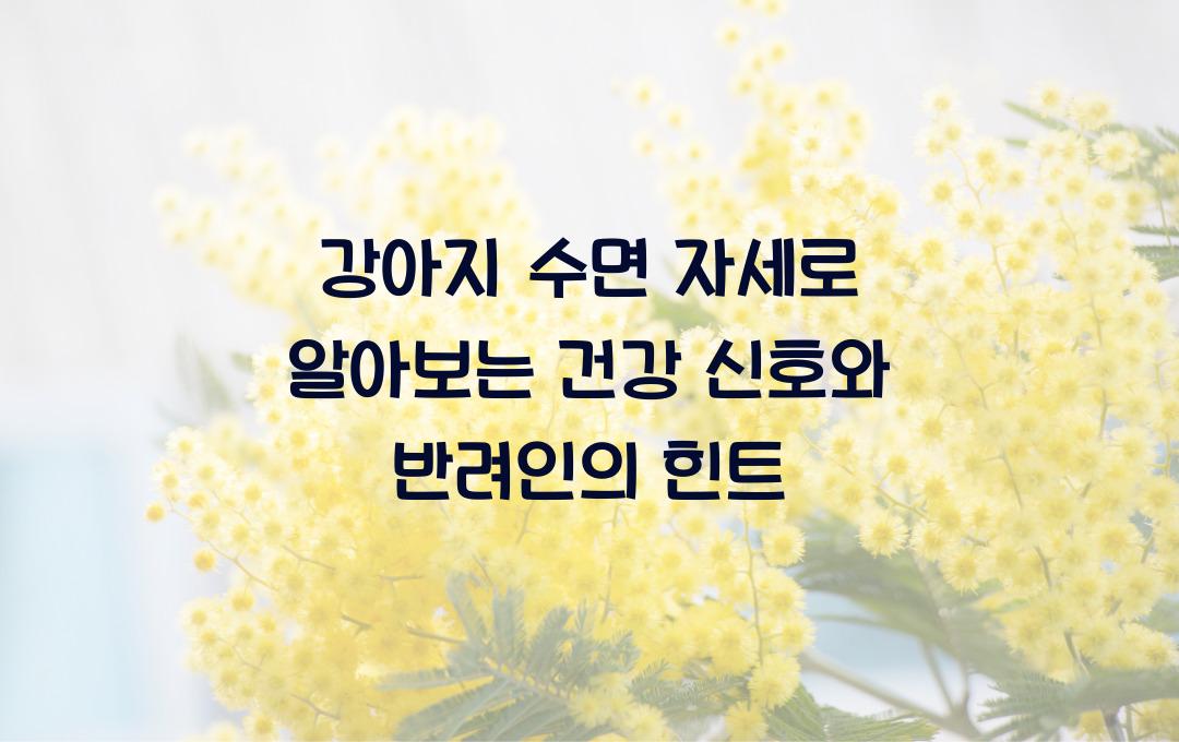 강아지 수면 자세로 알아보는 건강 신호