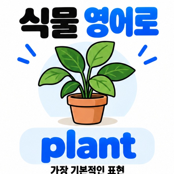 식물 영어로 plant를 보여주는 화분과 잎사귀 카드뉴스