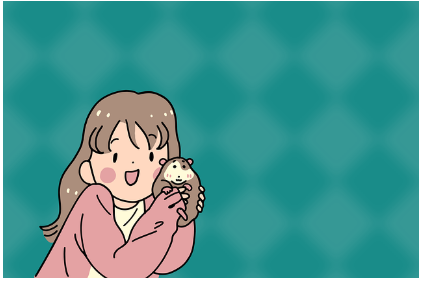 햄스터 케이지 배치와 기본 용품 추천 - 작지만 꼭 필요한 환경 만들기