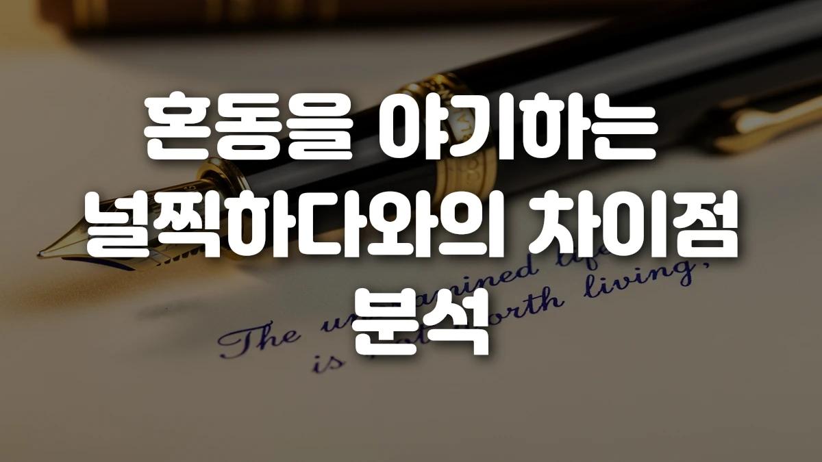혼동을 야기하는 널찍하다와의 차이점 분석