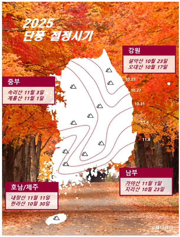2025 단풍 절정시기