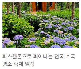 수국명소 4