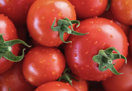 유방암에 좋은음식 15