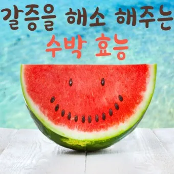 수박 효능_2