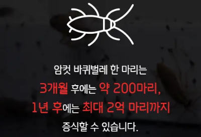 세스코 가정집
