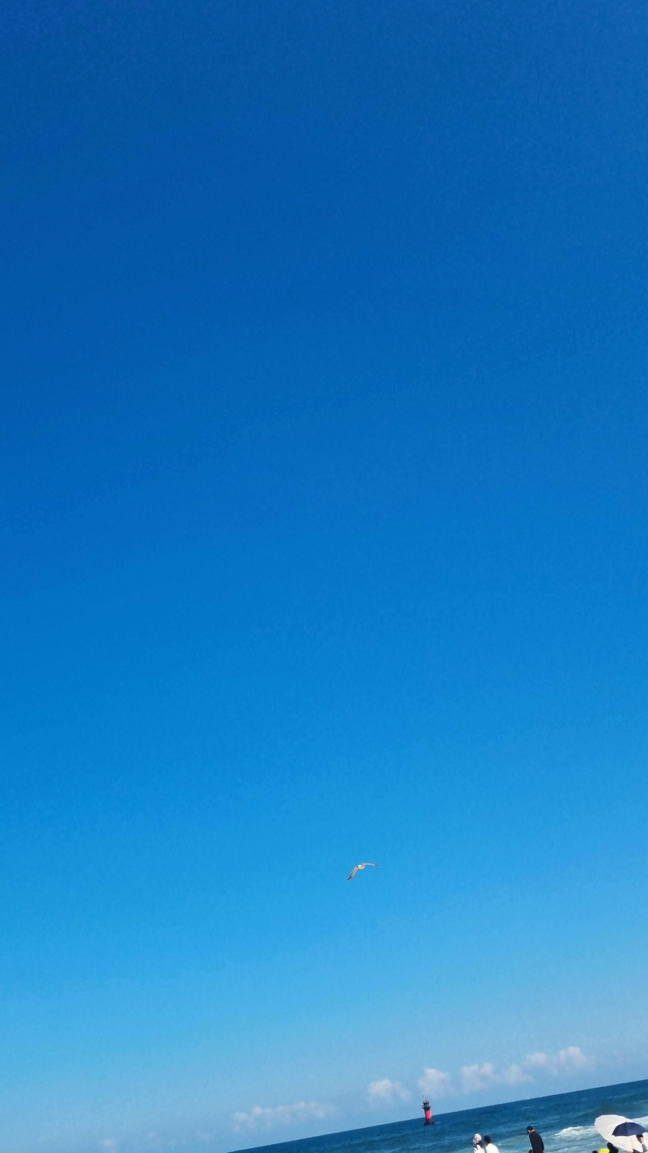 가을 여행지 추천 - 강릉 바다 경포대 경포호 안목 해변 카페 맛집 주차