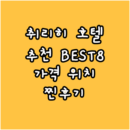 취리히 호텔 추천 BEST8 가격 위