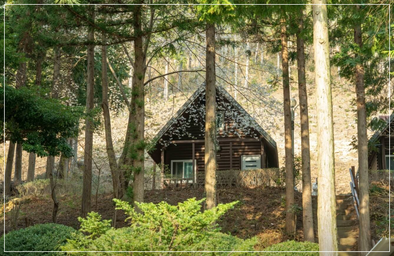 남해 가볼만한곳 베스트10 남해 편백자연휴양림