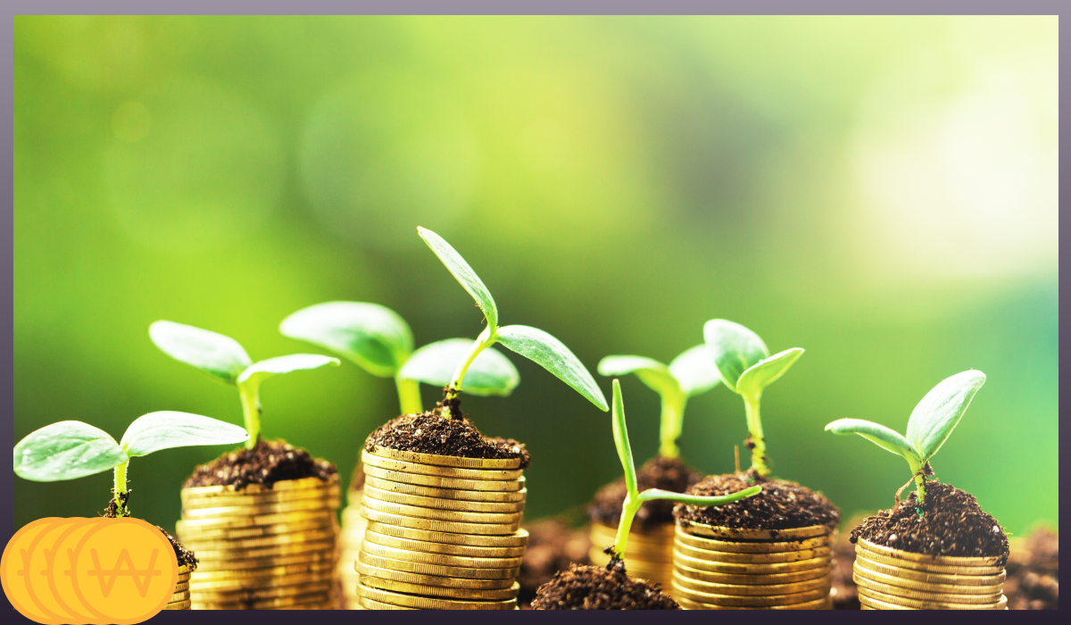 손목닥터9988 포인트