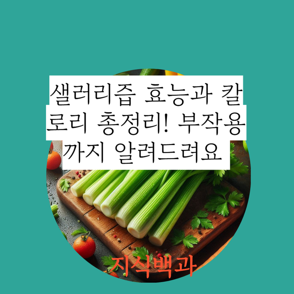 샐러리즙 효능과 칼로리 총정리! 부작용까지 알려드려요 🍹