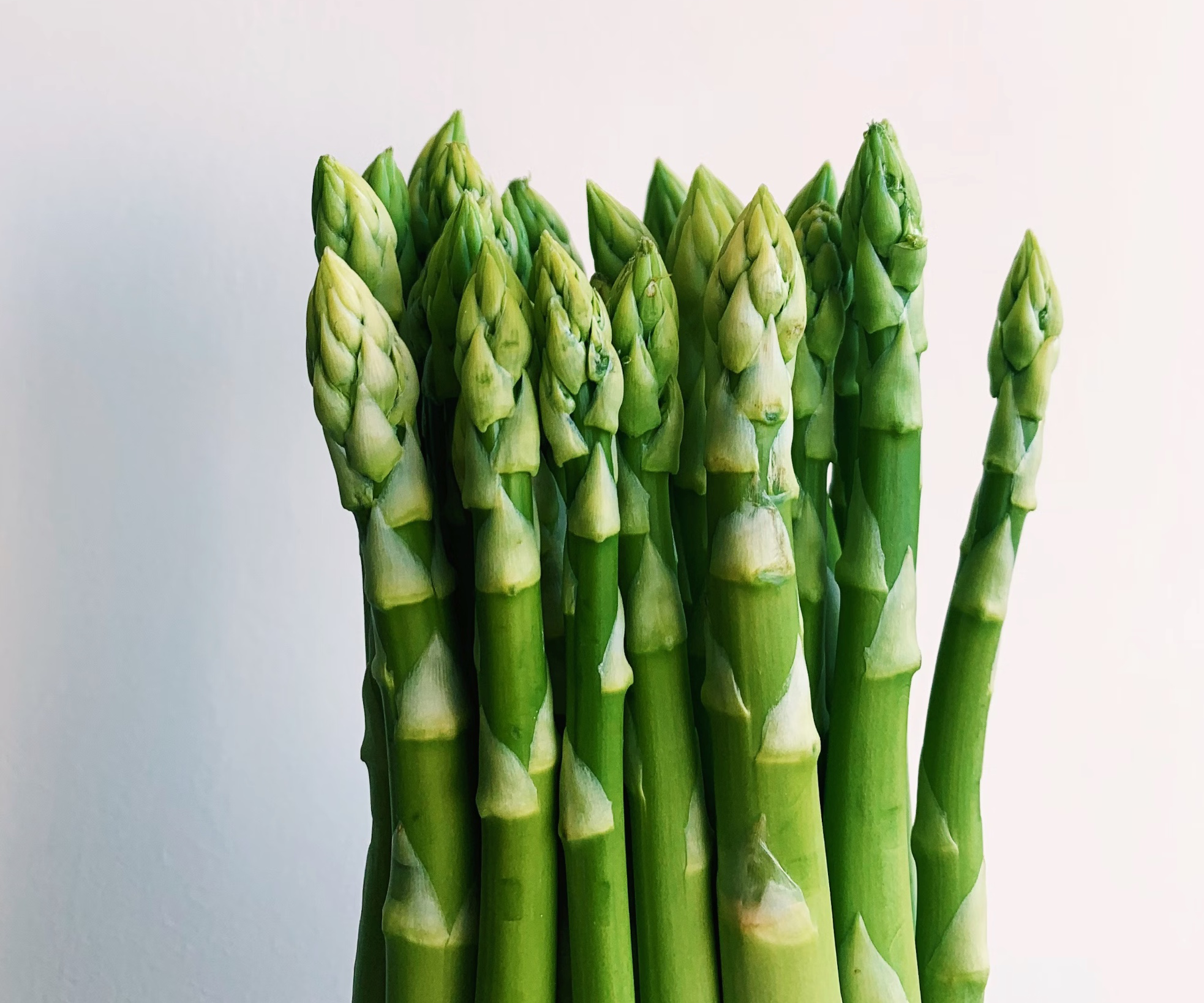 아스파라거스 세척