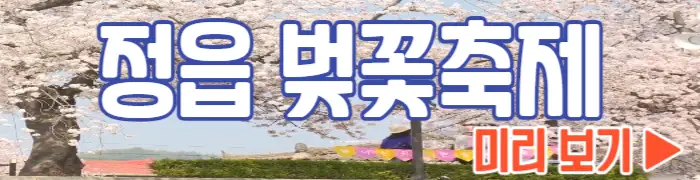 정읍 벚꽃축제 보기_1