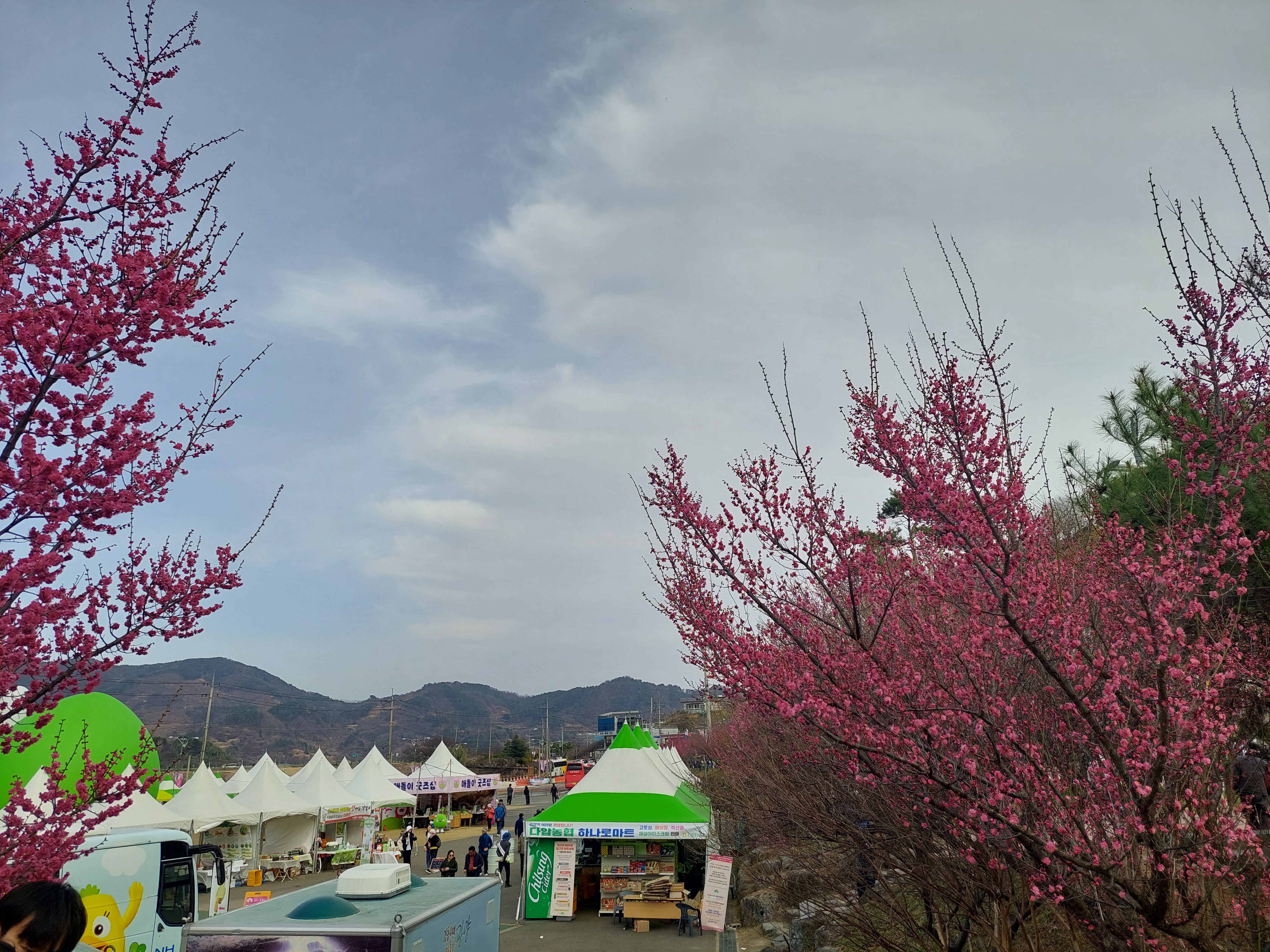 쫓비산