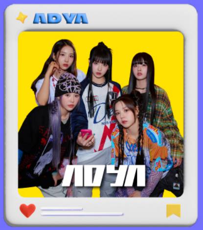 보령머드축제 기본정보