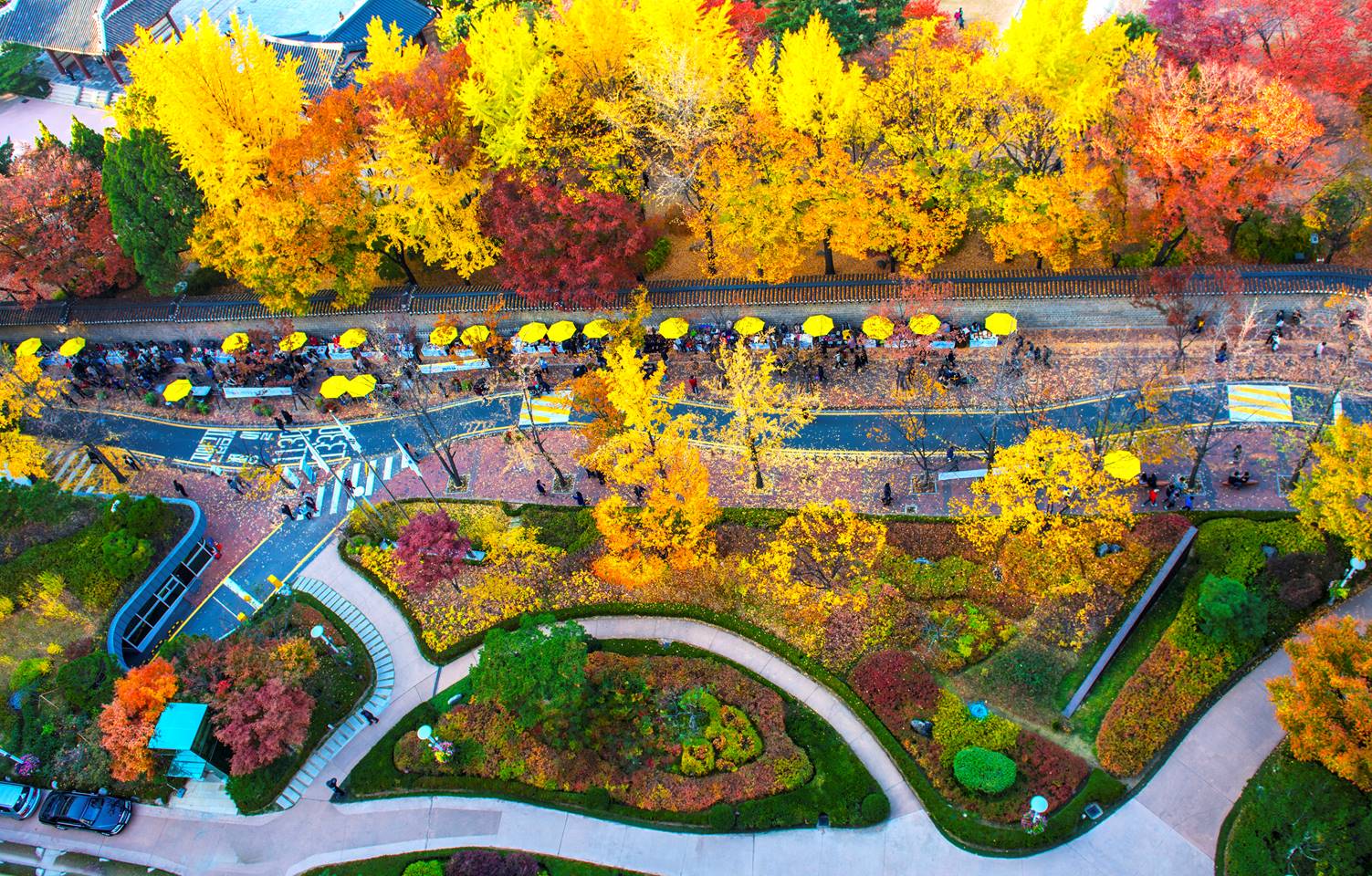 서울 단풍길 96선