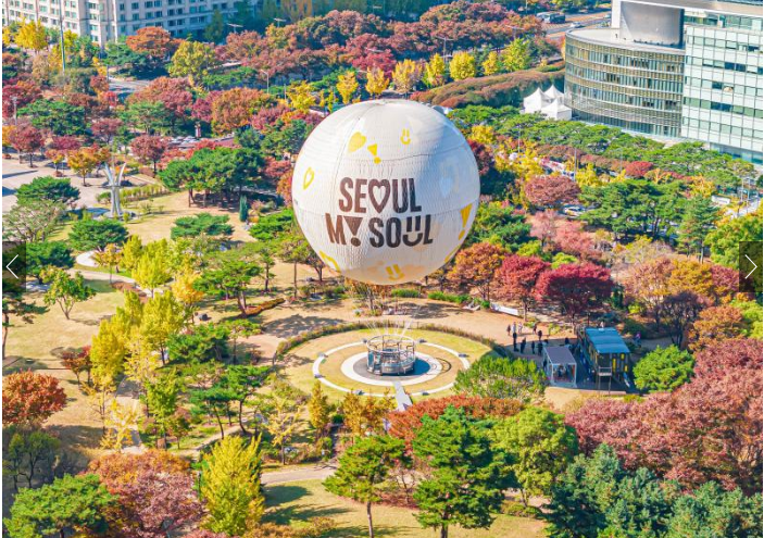 서울달