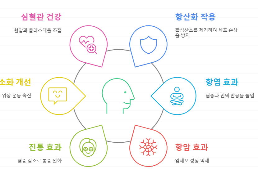 쇼가올 효능