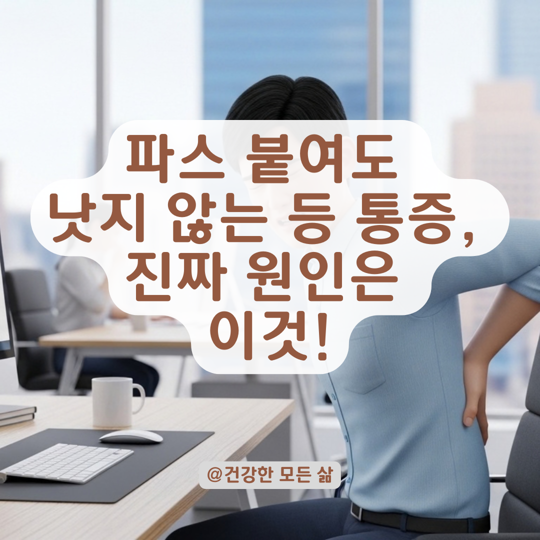 움직일 때마다 뻐근한 등 통증을 유발하는 의외의 원인들은 이것!